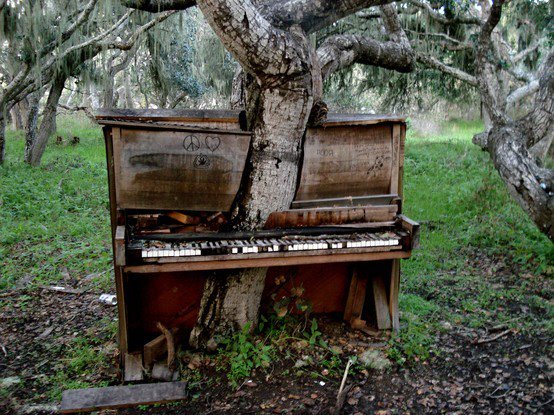Piano Tree